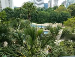 The Sea View (D15), Condominium #127112282